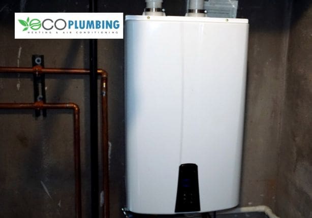 EcoSmart Tankless Water Heater Repair and Installation Services in